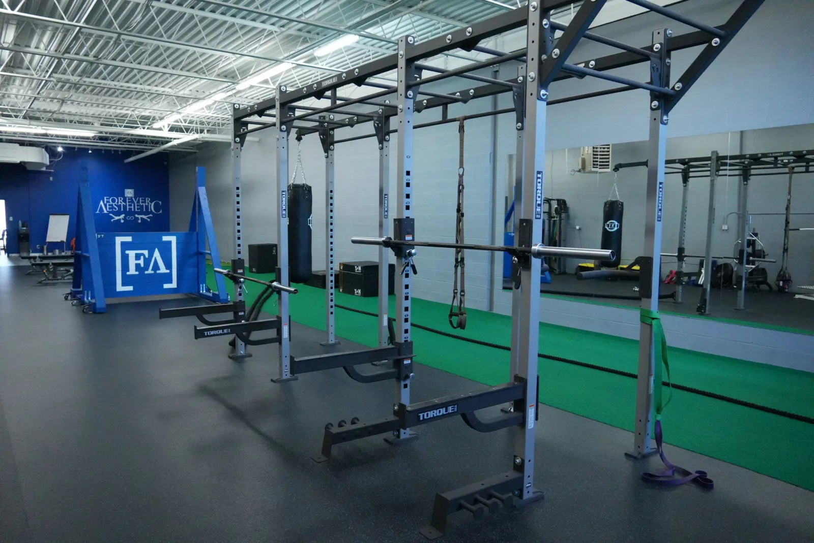 Strength rigs and turf in the private studio